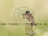 PTS-20170523-00197-1024px