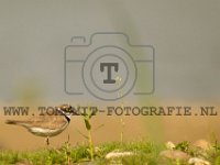 PTS-20170623-00079-1024px