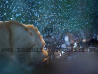 PTS-20171028-144200-00099-1024px