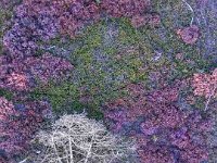 PTS-20190902-00058-1024px